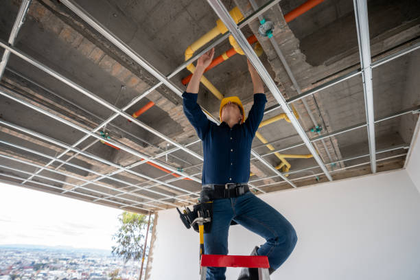 Best Leak Detection Services  in South Valley, NM